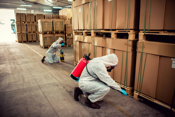 Best Cockroach Control Services  in Shields, MI