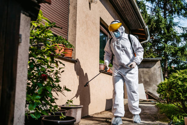 Best Flea Control Services  in Shields, MI