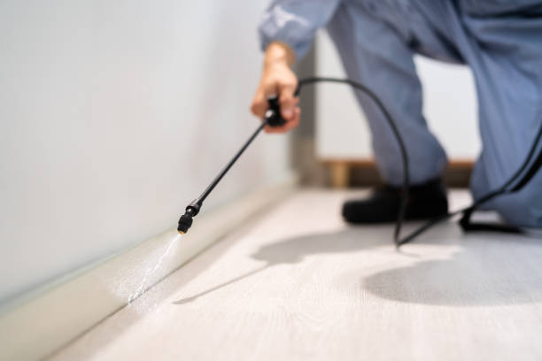 Best Pest Prevention Services  in Shields, MI