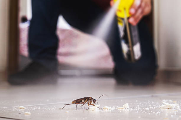 Best Bed Bug Extermination  in Shields, MI