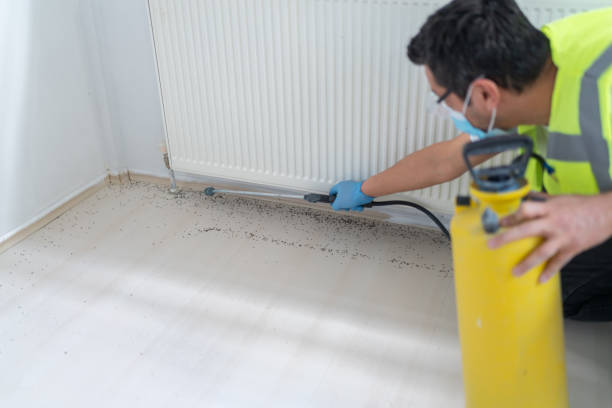 Best Local Pest Control Services  in Shields, MI