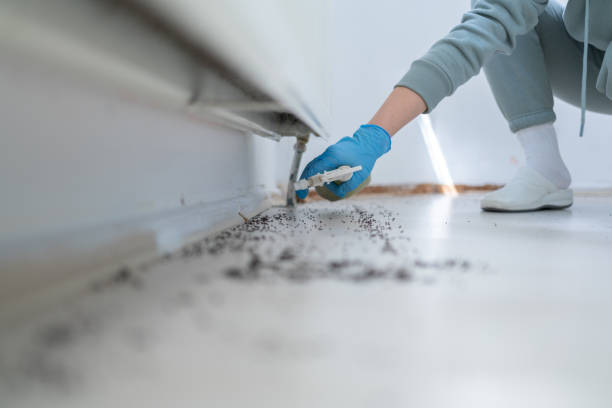 Best Best Pest Control Companies  in Shields, MI
