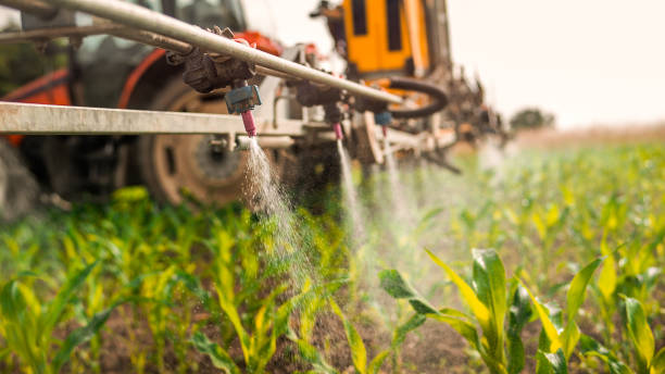 Best Commercial Pest Control Services  in Shields, MI